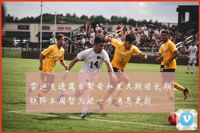 雷迪克透露东契奇和里夫斯将长期缺阵本周暂无进一步消息更新