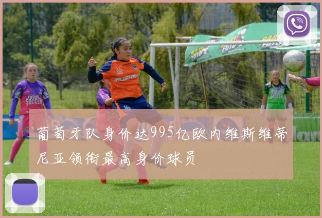 葡萄牙队身价达995亿欧内维斯维蒂尼亚领衔最高身价球员